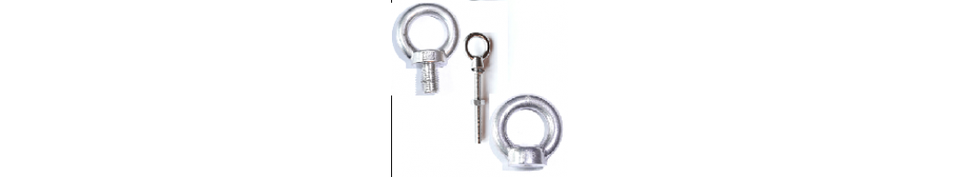 Stainless Steel Eye Bolts