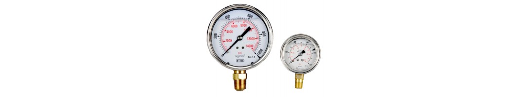 Hydraulic Gauges