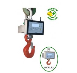 MCW Dini Argeo Crane Scale