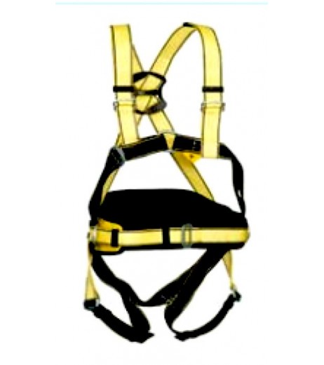 Yale CMHYP56 4 Point Harness