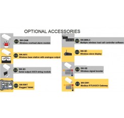 Radiolink Plus Wireless Dynamometer Load Cell Straightpoint 