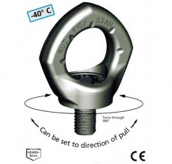 RUD Inox-Star Stainless Steel Swivel Eye Bolt