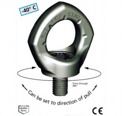 RUD Inox-Star Stainless Steel Swivel Eye Bolt