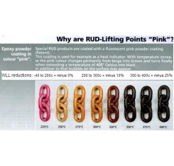 RUD PowerPoint PP-B Swivel Eye Bolt 