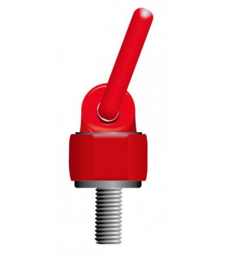 GT Grade 80 Swivel Eye Bolt with Ring