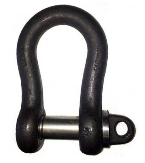 Large Bow Shackle