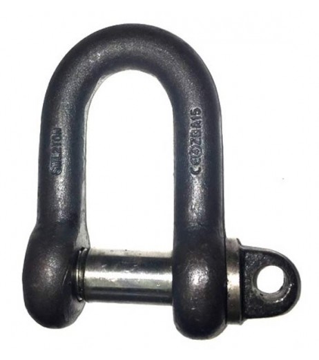 Large D Shackle