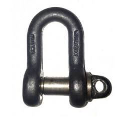 Small D Shackle
