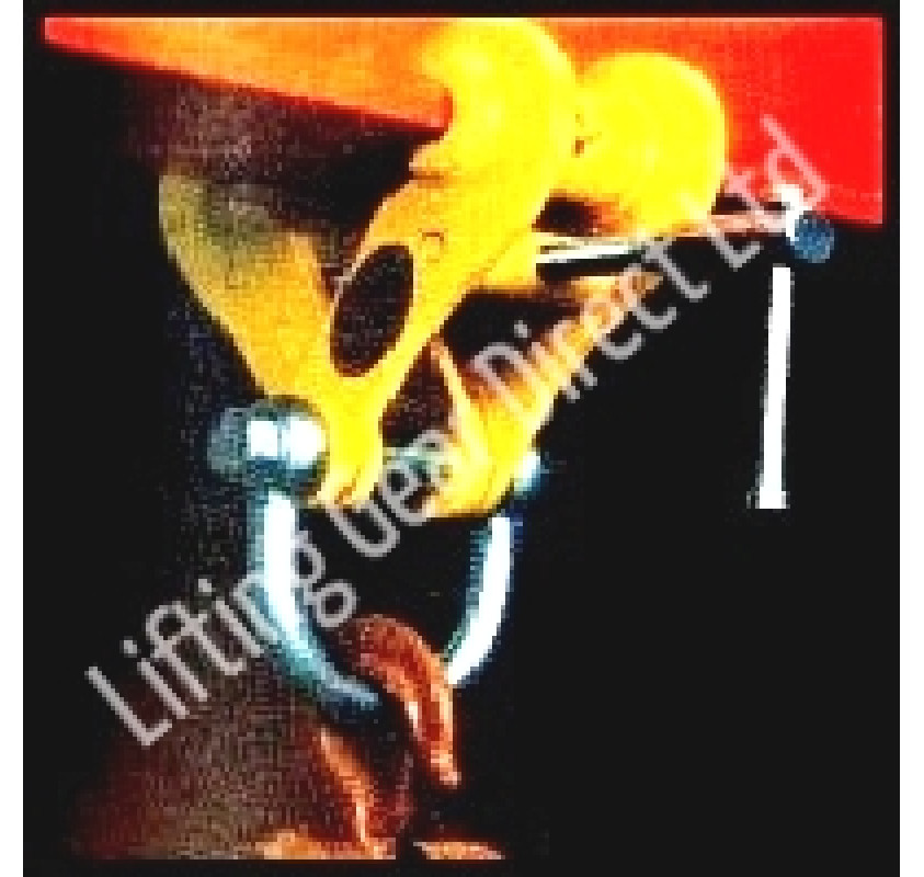 Riley Swivel Jaw Superclamp Adjusting Girder clamps Lifting Gear Direct