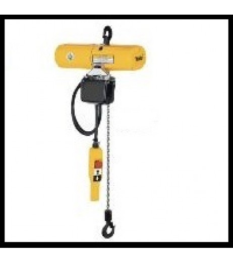 CPS 110/1-4 Electric Hoist