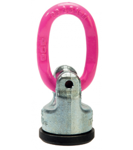 RUD WPP-B Swivel Eye Bolt