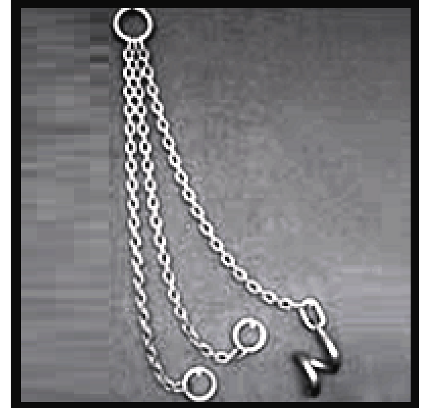 WheelBarrow Sling Builders Hoists Lifting Gear Direct