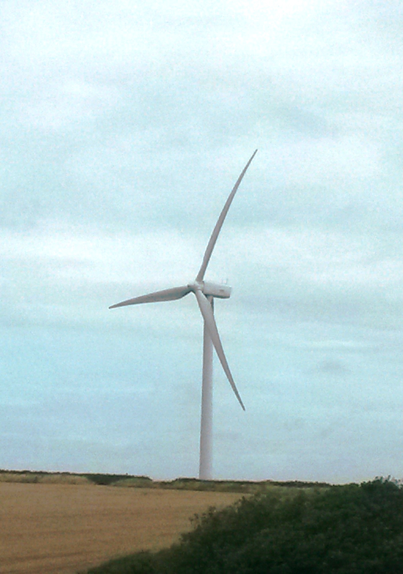 wind turbine